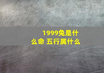 1999兔是什么命 五行属什么